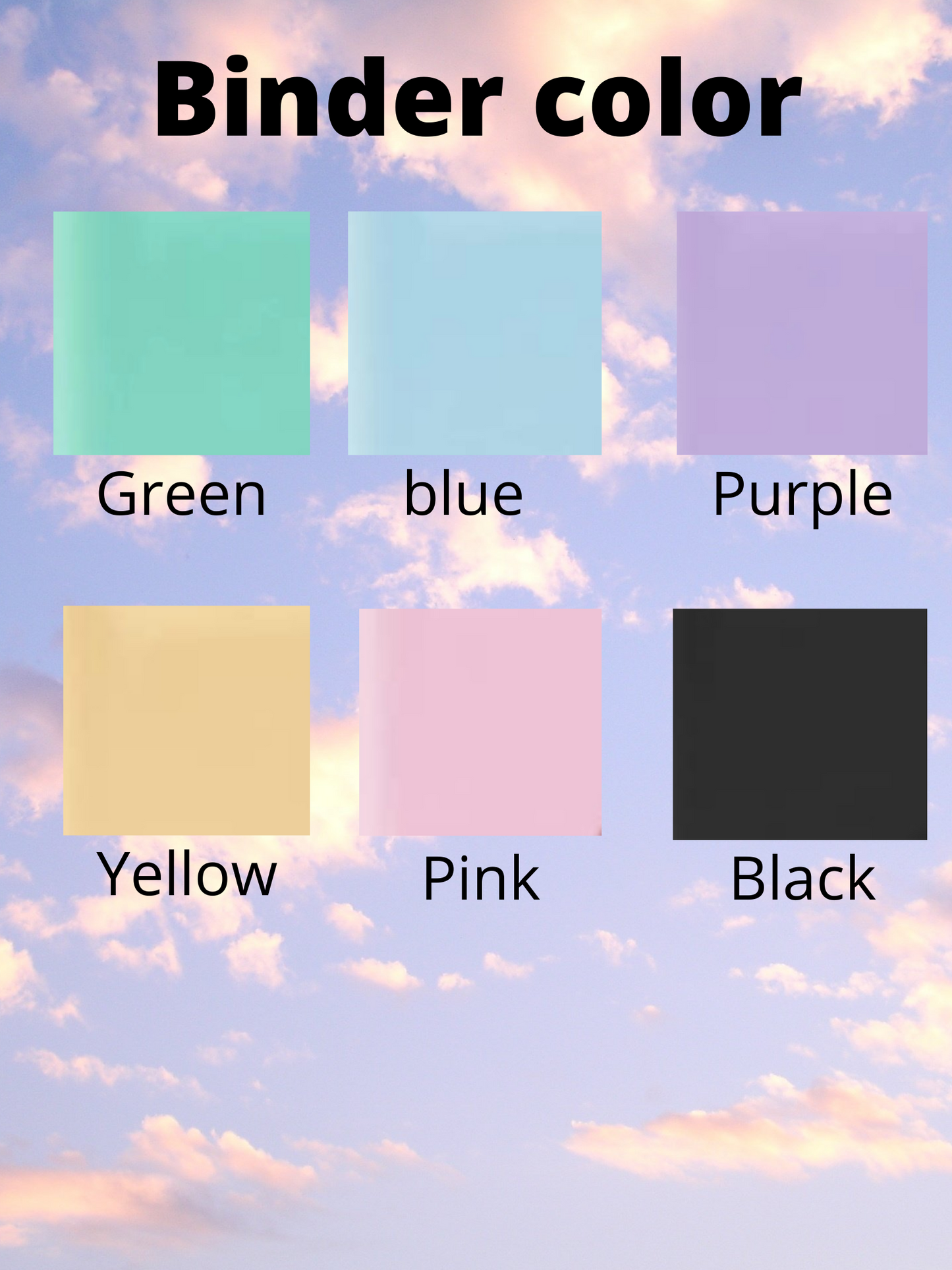 Luxury budget binder